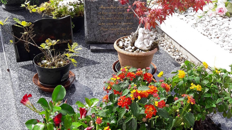 Art et Verdure Fleuriste Bayonne Carlos Paz Artisan Fleuriste (64) fleurissement et entretien de sépultures 2018